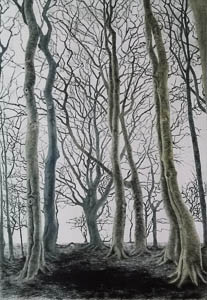 A Copse in Winter